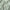 Sage Green Serie
