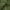 Hoeslaken - Deep Moss- Premium