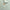 Dekbedovertrek - Sage Green - Premium