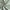 Hoeslaken (Topdekmatras) - Sage Green - Premium