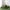 Kussenslopen - Deep Moss - Premium