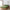 Hoeslaken (Topdekmatras) - Deep Moss - Premium