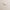 Dekbedovertrek - Soft Taupe - Premium