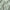 Tweepersoons Beddengoedset M - Sage Green