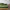 Hoeslaken - Deep Moss- Premium