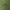Dekbedovertrek - Deep Moss - Premium