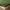 Hoeslaken (Topdekmatras) - Deep Moss - Premium