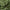 Dekbedovertrek - Deep Moss - Premium