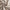 Kussenslopen - Soft Taupe - Premium