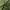Hoeslaken (Topdekmatras) - Deep Moss - Premium